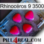 Rhinocéros 9 3500 13